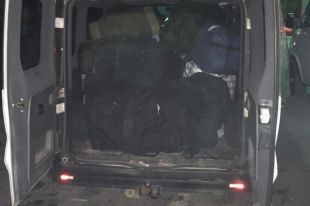 Закарпатец пытался вывезти в ЕС тонну янтаря на сумму один миллион долларов