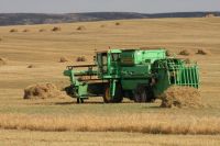 Ударной уборке зерновых помогают субсидии областного правительства. Повезло также с тёплой, сухой погодой.