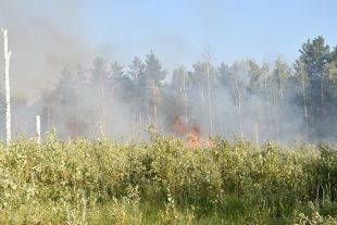 В Минздраве рекомендуют украинцам изменить подход к работе в поле