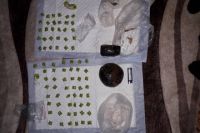 В Тюмени задержали семейную пару с 1,5 кг наркотиков