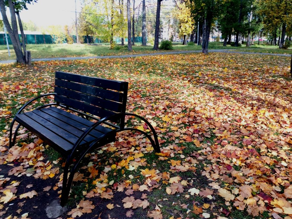 Фото ижевска сегодня осенью