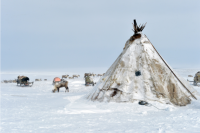 Тюменцы смогут увидеть «Тепло ямальской Арктики»