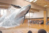 В таком зоопарке людей пугает голографический кит.