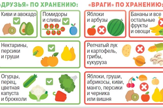 Как хранить фрукты и овощи? | Продукты и напитки | Кухня | Аргументы и Факты