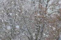 В выходные в Перми могут идти сильные снегопады.