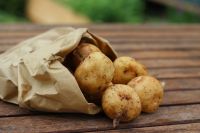 Жители Кодинска покупали картофель с нитратами. 