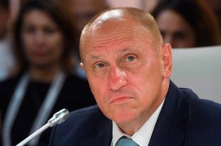 Александр Аузан.