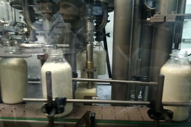 В молоке местного производителя «Играмолоко» обнаружен антибиотик-пенициллин.
