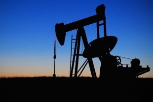 Представители тюменских нефтегазовых компаний отправятся в ОАЭ
