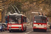 В Николаеве пассажиры троллейбуса устроили массовую драку
