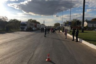 «Нас обманули»: зоозащитники перекрыли дорогу из-за умирающих в порту овец