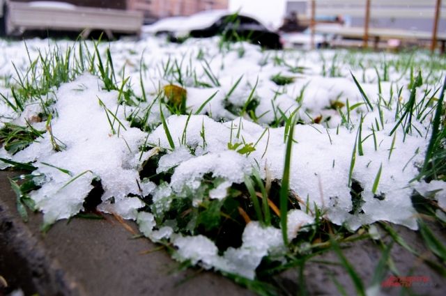 3 ноября в Оренбурге снова прогнозируется кратковременный снег, минус 4 ночью и +7 днем.