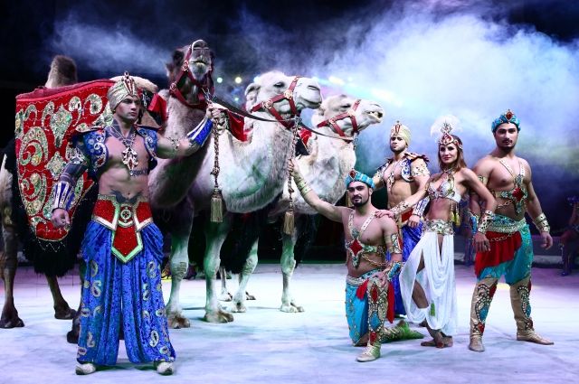 Смотрите шоу «Баронеты» Гии Эрадзе в Екатеринбургском цирке до 2 декабря. 