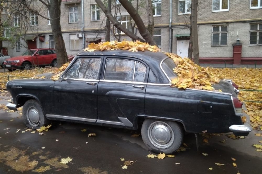 Людмила Кикало