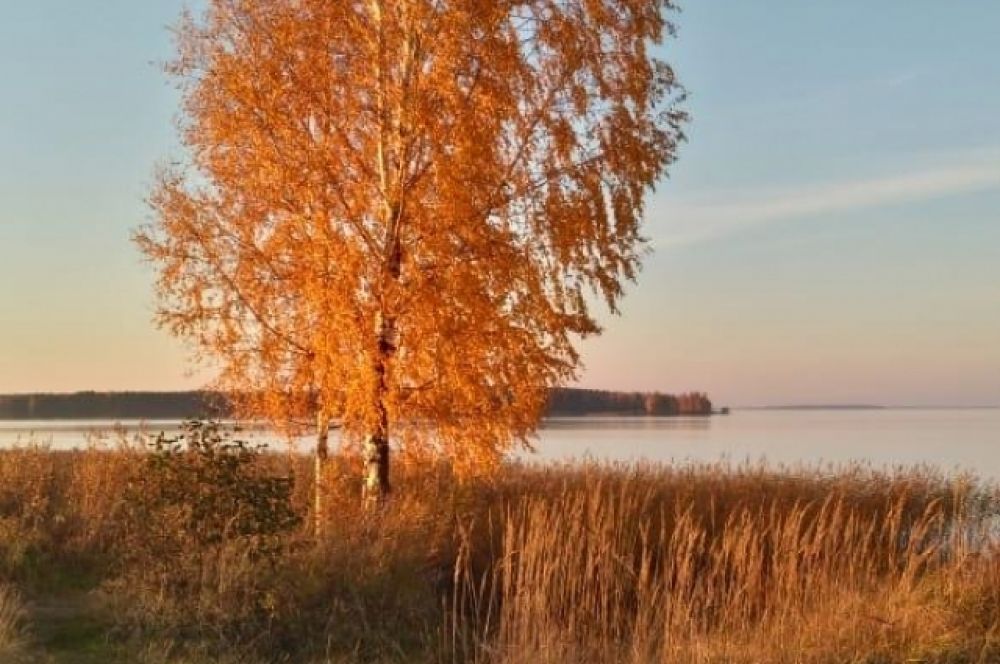 Лега Любовь