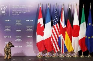 Послы G7 предупредили Украину о последствиях закрытия крупного телеканала