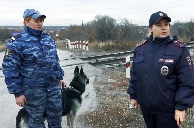 Служебный пёс сразу взял след и привёл сотрудников инспекции ПДН к железной дороге.
