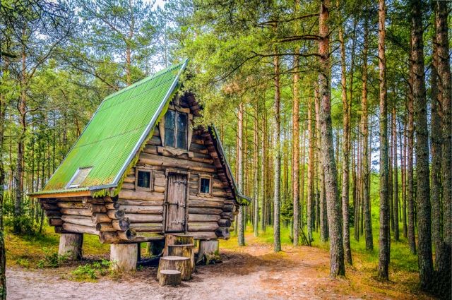 Строю дом в лесу