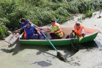 Своими силами волонтёры стараются очистить не только берега реки Миасс, но и саму поверхность воды от скопившегося мусора.