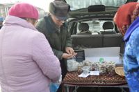 Украина запустит реформу торговли по стандартам Евросоюза