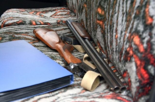 Житель Аромашевского района застрелил лося из найденного ружья
