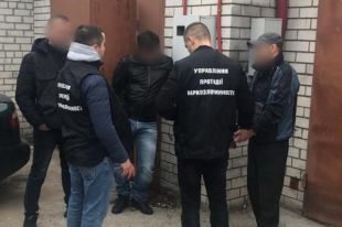 В Киеве наркоторговцы вырастили в теплицах марихуану на два миллиона гривен
