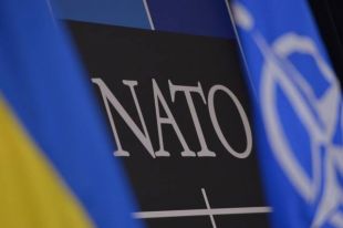 Украина и Грузия должны стать членами альянса, - президент ПА НATO