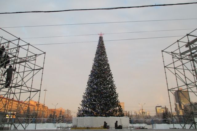 Елка на площади Ленина будет высотой 22 метра.