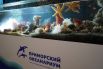 Президентский океанариум на Русском – один из лучших в мире