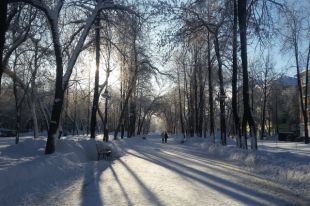 1 декабря: профессиональный праздник в Украине, Всемирный день, события