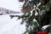 Скорее всего, месяц будет снежным и тёплым.