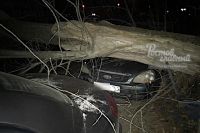 На 1-й Конной Армии, 6А дерево упало на забор и припаркованный автомобиль.