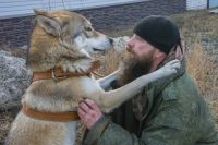 Волк периодически как будто обнимает Ивана. Так он проявляет ласку, благодарность, а иногда выражает просьбу или извиняется.