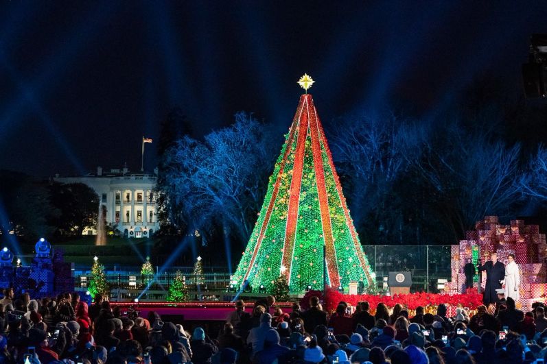 Главная рождественская елка в парке перед Белым домом в Вашингтоне, США.