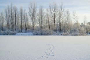 Выходить на неокрепший лёд опасно.