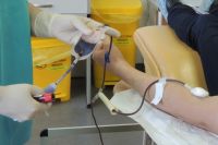 Центры крови заготавливают больше 40 тонн донорской крови в год.