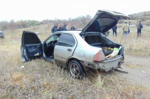 В Николаевской области полсотни фермеров с погоней поймали воров из Одессы