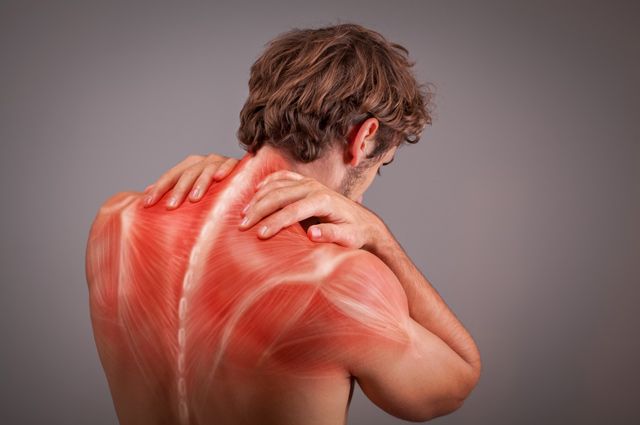 Боль в мышцах – из-за чего появляется и как от нее избавиться?