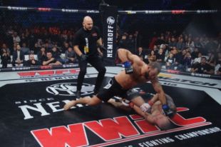 Итоги WWFC 13: триумф Долидзе и новый претендент на звание чемпиона