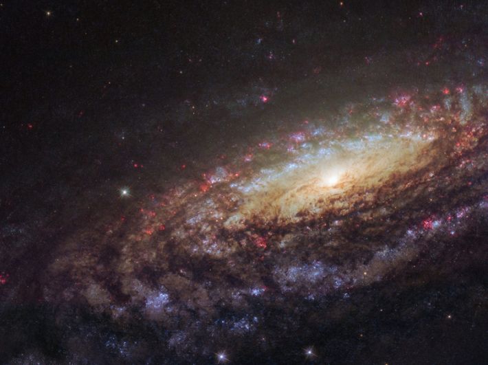 Галактика NGC 7331, удивительно похожая на Млечный Путь. Снимок сделан с помощью телескопа «Хаббл».