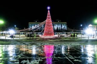Горожане смогут уехать на елку и обратно.