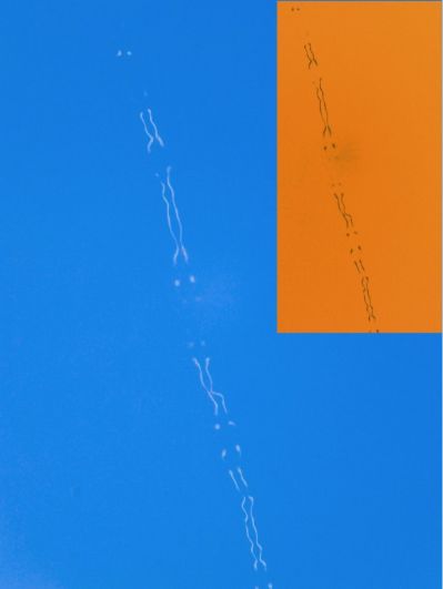 Неустойчивость Кроу (Crow Instability) в небе над Даровским. 14 сентября 2014 год 