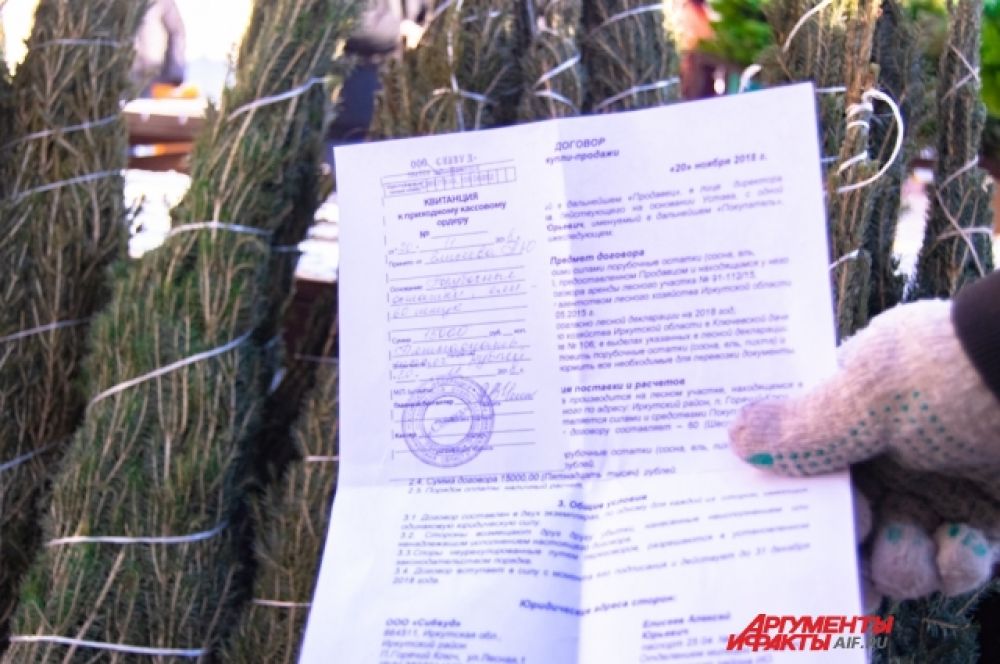 Чтобы торговать новогодними деревьями, надо иметь специальное разрешение.