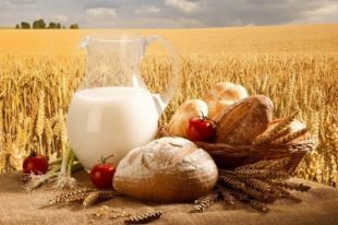 Украина стала одним из лидеров по продаже агропродукции в Евросоюз