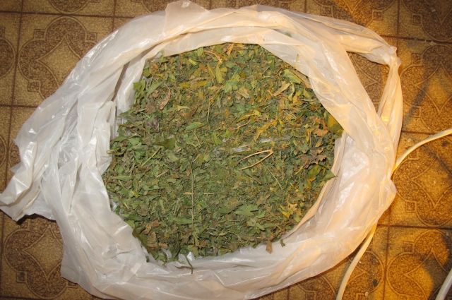 Полиция изъяла у мужчины несколько кустов наркосодержащих растений и 320 граммов марихуаны. 
