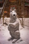 Снежный волк - ещё один необычный житель креативного новосибирского двора.