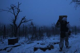 В ВСУ рассказали подробности об обстреле грузовика с военными под Троицким