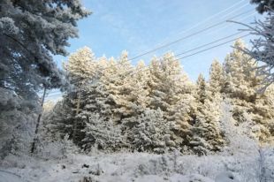 В Тюменской области уточнены сведения о 280 земельных участках