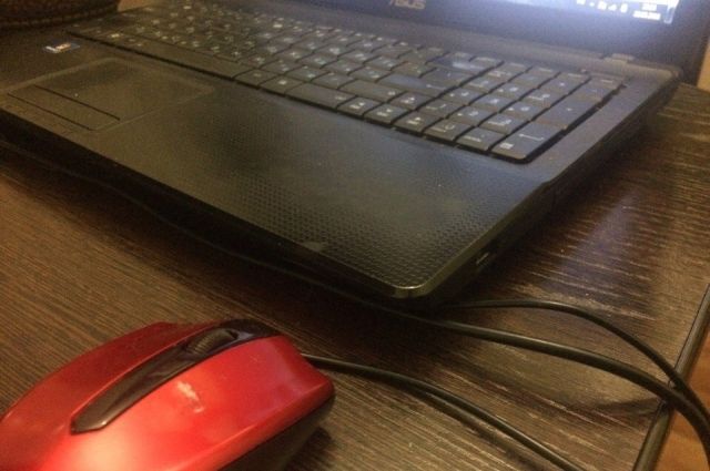 Жители Тобольска смогут бесплатно научиться работать за компьютером