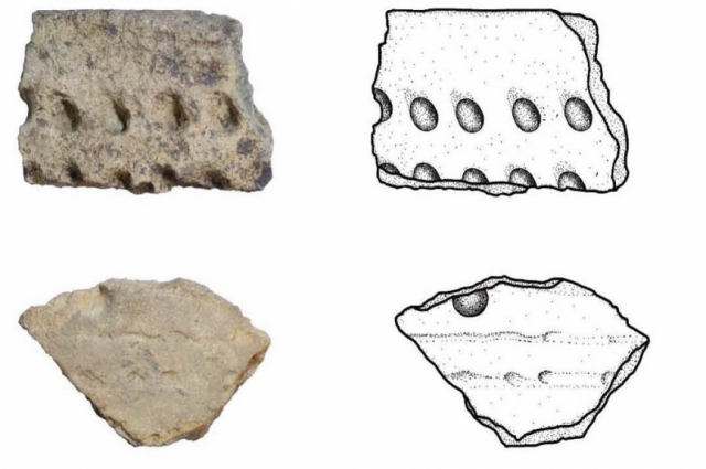Памятники археологии, найденные в Красноселькупе, оценили эксперты